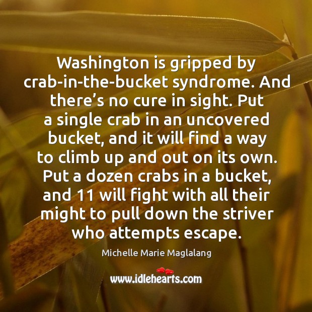 Washington is gripped by crab-in-the-bucket syndrome. And there’s no cure in sight. Michelle Marie Maglalang Picture Quote