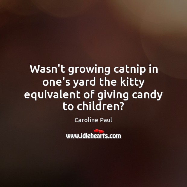 Wasn’t growing catnip in one’s yard the kitty equivalent of giving candy to children? Image