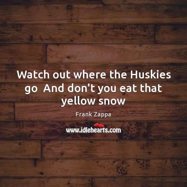 Watch out where the Huskies go  And don’t you eat that yellow snow Frank Zappa Picture Quote