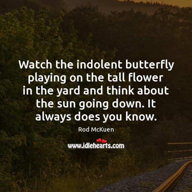 Watch the indolent butterfly playing on the tall flower in the yard Rod McKuen Picture Quote