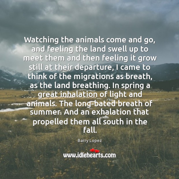 Watching the animals come and go, and feeling the land swell up Barry Lopez Picture Quote