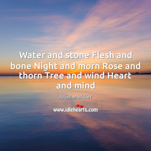 Water and stone Flesh and bone Night and morn Rose and thorn Tree and wind Heart and mind Juliet Marillier Picture Quote
