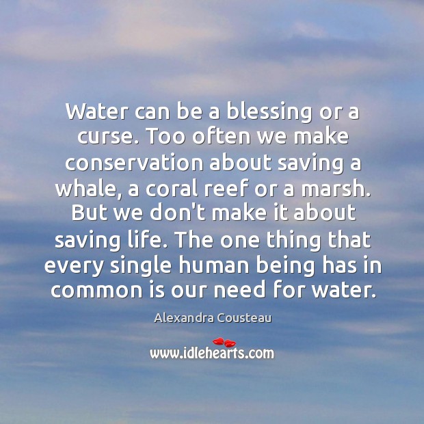Water can be a blessing or a curse. Too often we make Alexandra Cousteau Picture Quote