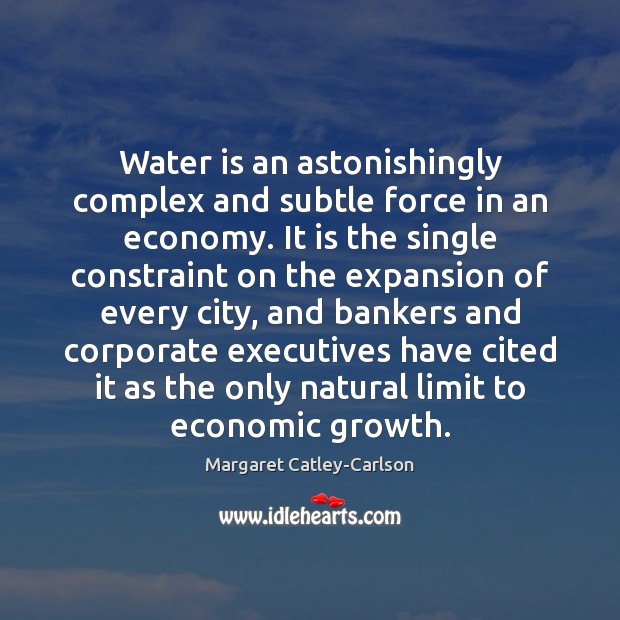 Water is an astonishingly complex and subtle force in an economy. It Margaret Catley-Carlson Picture Quote