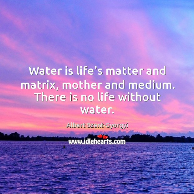 Water is life’s matter and matrix, mother and medium. There is no life without water. Albert Szent-Gyorgyi Picture Quote