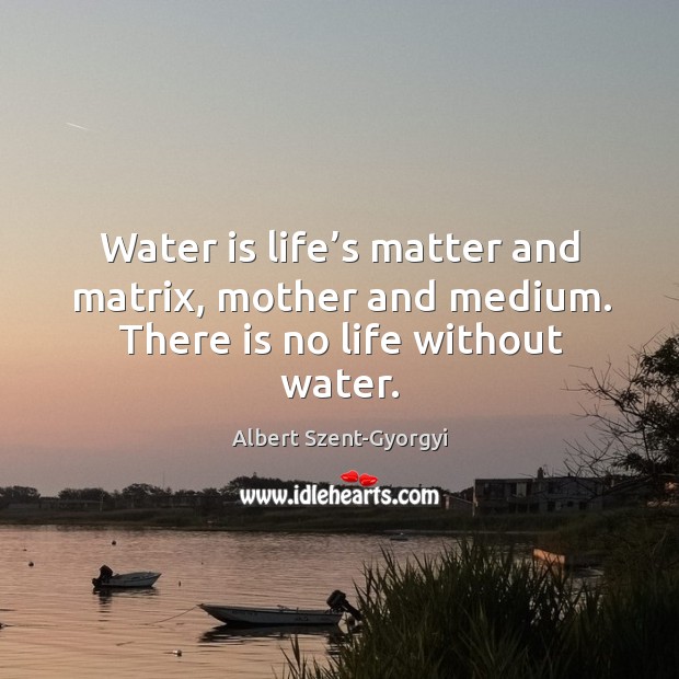 Water is life’s matter and matrix, mother and medium. There is no life without water. Image
