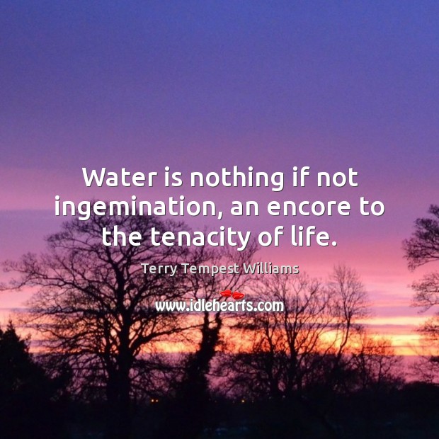 Water is nothing if not ingemination, an encore to the tenacity of life. Image