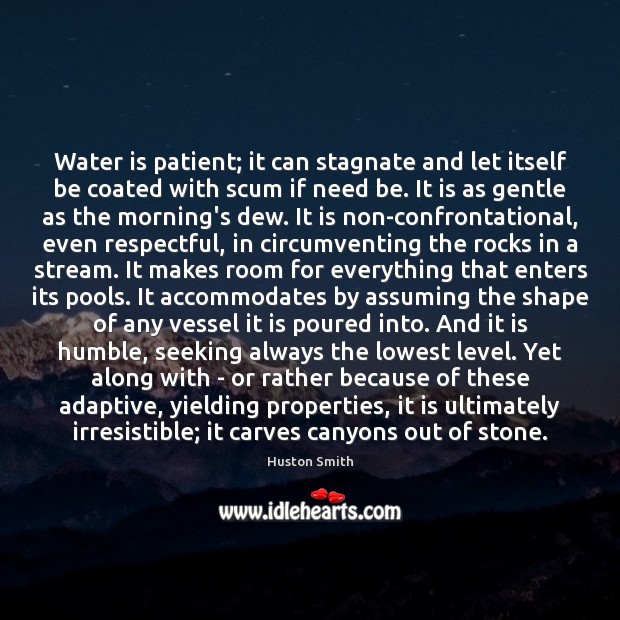 Water is patient; it can stagnate and let itself be coated with Image