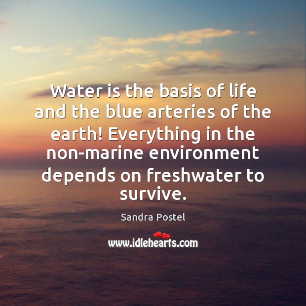 Water is the basis of life and the blue arteries of the Image
