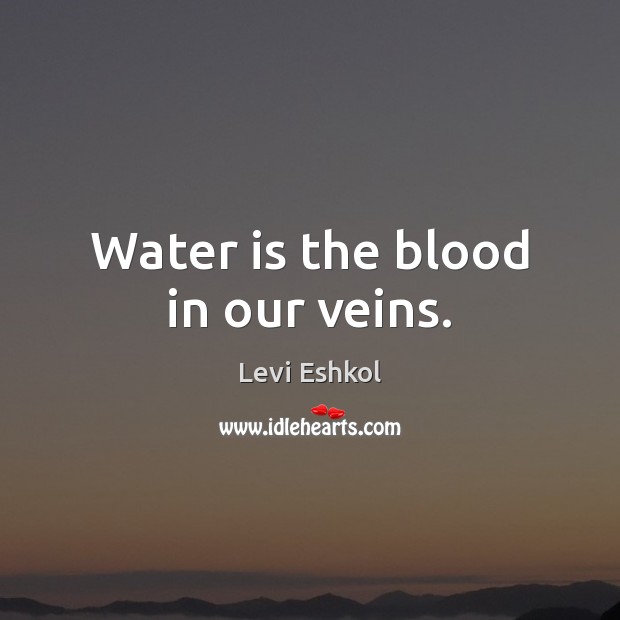 Water is the blood in our veins. Image