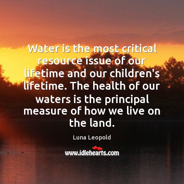 Water is the most critical resource issue of our lifetime and our Luna Leopold Picture Quote