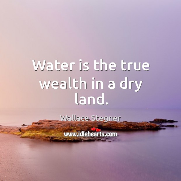 Water is the true wealth in a dry land. Wallace Stegner Picture Quote