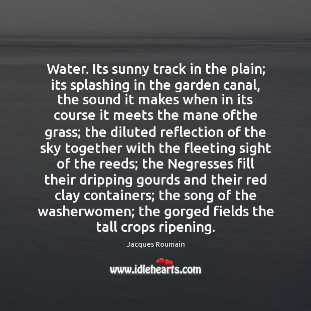 Water. Its sunny track in the plain; its splashing in the garden Jacques Roumain Picture Quote