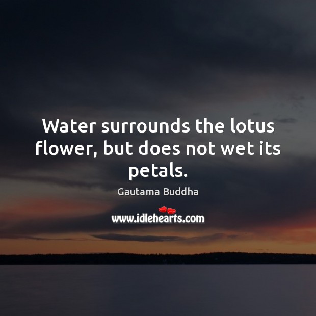 Water surrounds the lotus flower, but does not wet its petals. Gautama Buddha Picture Quote