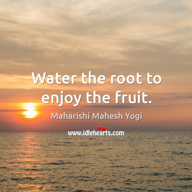 Water the root to enjoy the fruit. Maharishi Mahesh Yogi Picture Quote