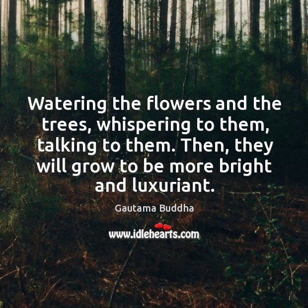 Watering the flowers and the trees, whispering to them, talking to them. Image