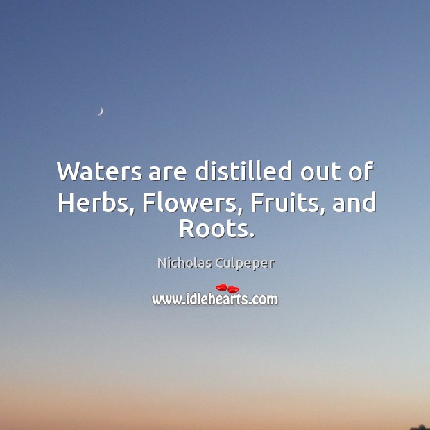 Waters are distilled out of herbs, flowers, fruits, and roots. Nicholas Culpeper Picture Quote