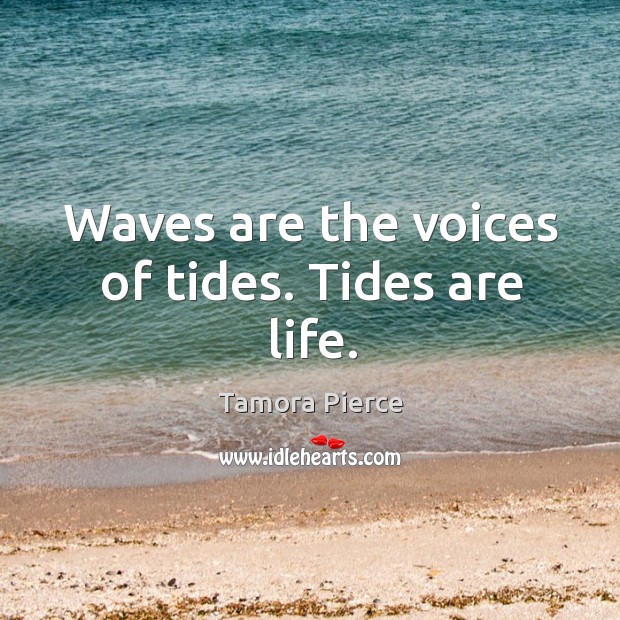 Waves are the voices of tides. Tides are life. Image