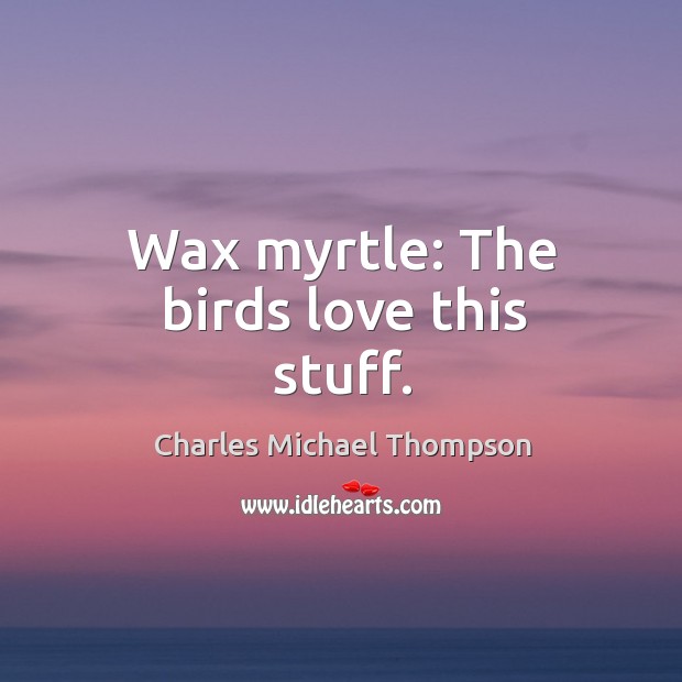 Wax myrtle: the birds love this stuff. Charles Michael Thompson Picture Quote