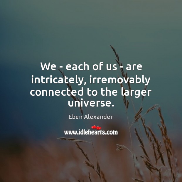 We – each of us – are intricately, irremovably connected to the larger universe. Eben Alexander Picture Quote
