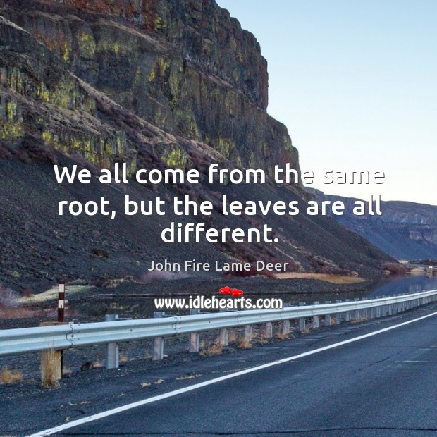 We all come from the same root, but the leaves are all different. John Fire Lame Deer Picture Quote