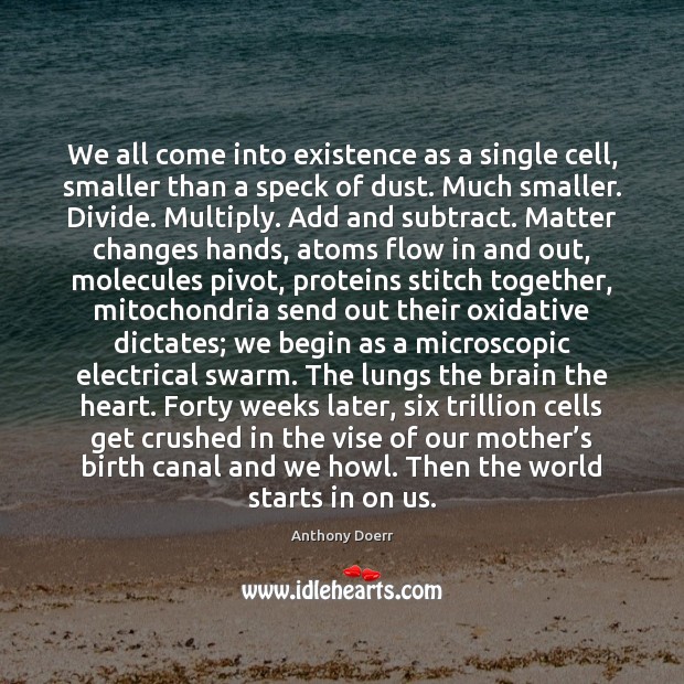 We all come into existence as a single cell, smaller than a Anthony Doerr Picture Quote