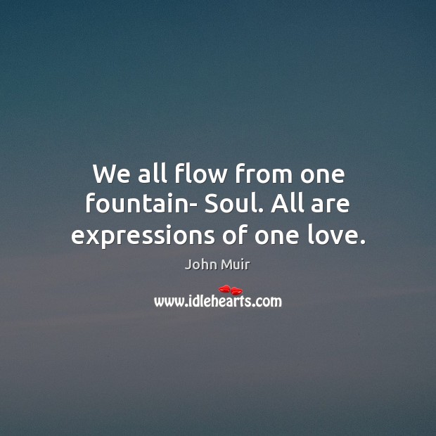 We all flow from one fountain- Soul. All are expressions of one love. John Muir Picture Quote