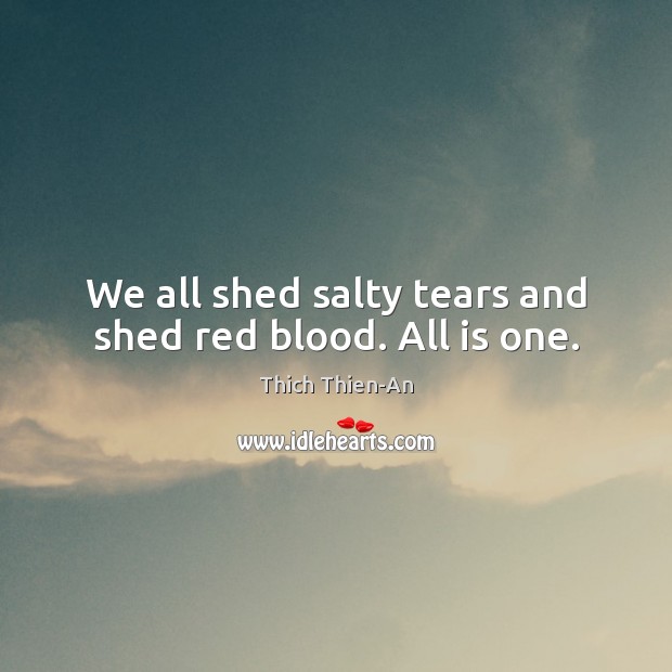 We all shed salty tears and shed red blood. All is one. Thich Thien-An Picture Quote