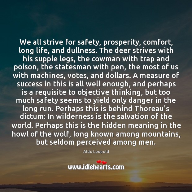 We all strive for safety, prosperity, comfort, long life, and dullness. The Aldo Leopold Picture Quote