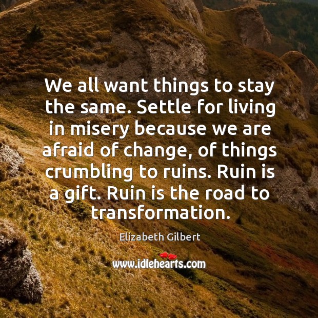 We all want things to stay the same. Settle for living in Elizabeth Gilbert Picture Quote