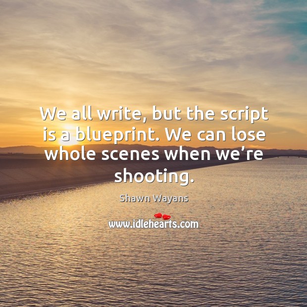 We all write, but the script is a blueprint. We can lose whole scenes when we’re shooting. Shawn Wayans Picture Quote