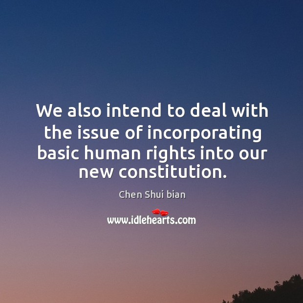 We also intend to deal with the issue of incorporating basic human rights into our new constitution. Chen Shui bian Picture Quote