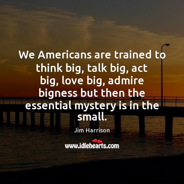 We Americans are trained to think big, talk big, act big, love Jim Harrison Picture Quote
