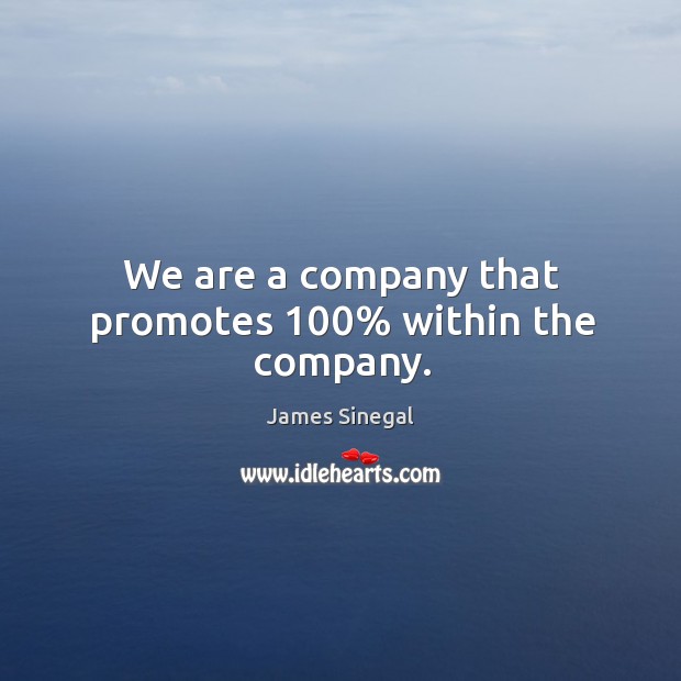 We are a company that promotes 100% within the company. James Sinegal Picture Quote