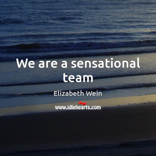 We are a sensational team Elizabeth Wein Picture Quote