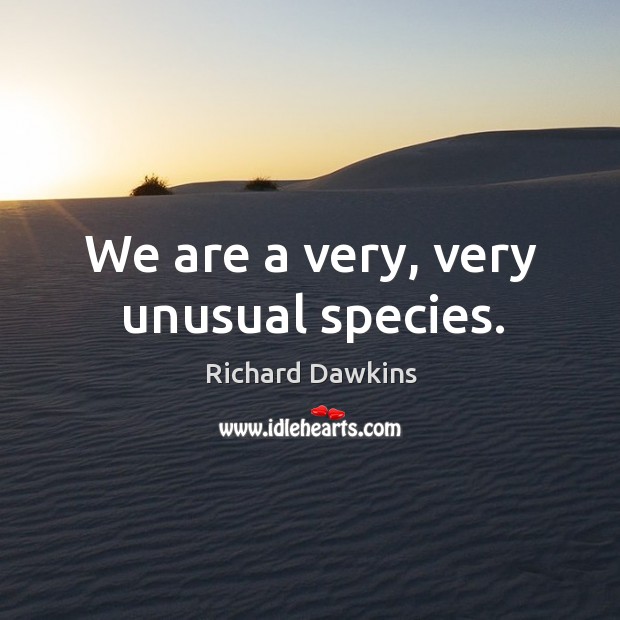 We are a very, very unusual species. Image