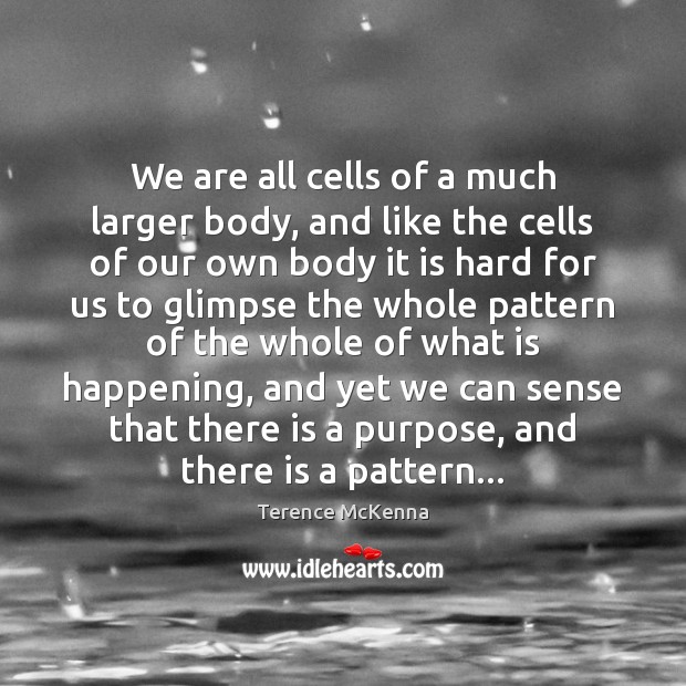 We are all cells of a much larger body, and like the Terence McKenna Picture Quote