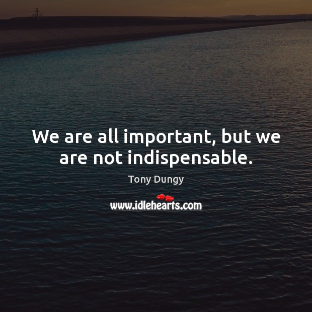 We are all important, but we are not indispensable. Tony Dungy Picture Quote