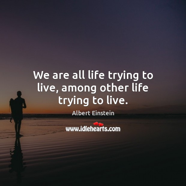 We are all life trying to live, among other life trying to live. Image