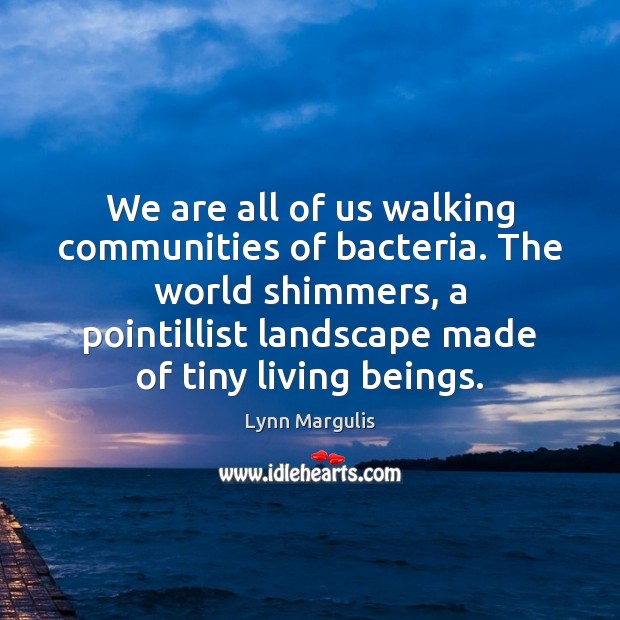 We are all of us walking communities of bacteria. The world shimmers, Lynn Margulis Picture Quote