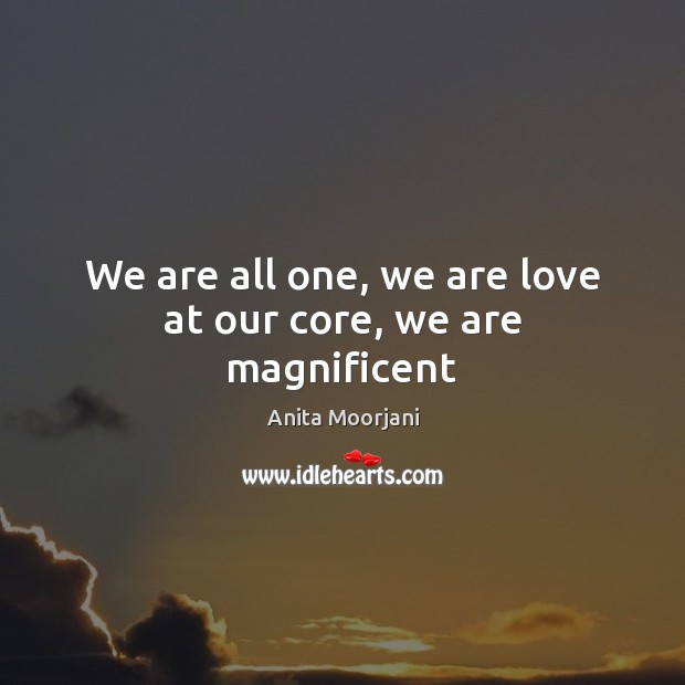 We are all one, we are love at our core, we are magnificent Anita Moorjani Picture Quote