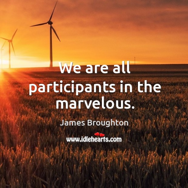 We are all participants in the marvelous. James Broughton Picture Quote