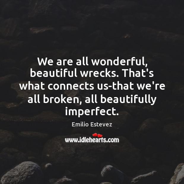We are all wonderful, beautiful wrecks. That’s what connects us-that we’re all Emilio Estevez Picture Quote