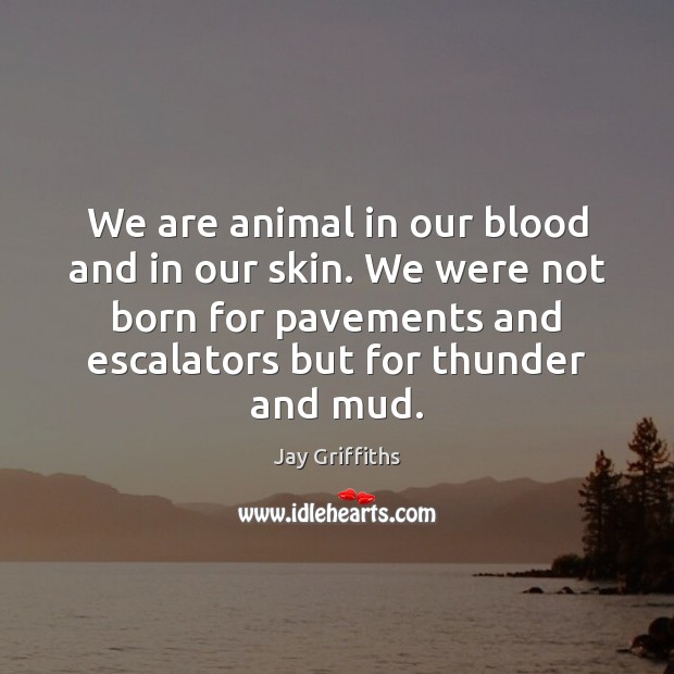 We are animal in our blood and in our skin. We were Jay Griffiths Picture Quote