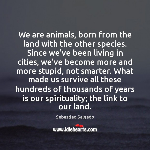 We are animals, born from the land with the other species. Since Sebastiao Salgado Picture Quote