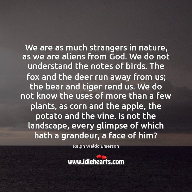 We are as much strangers in nature, as we are aliens from Image