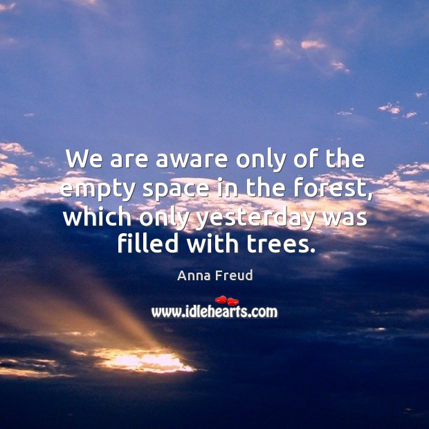 We are aware only of the empty space in the forest, which only yesterday was filled with trees. Image