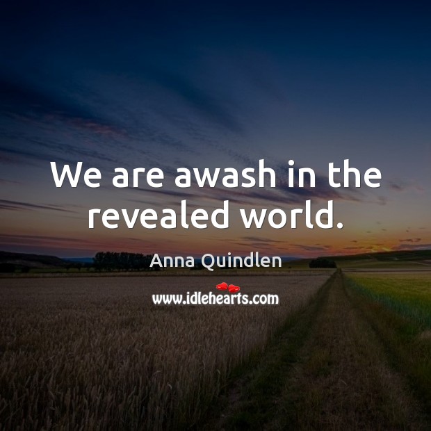 We are awash in the revealed world. Anna Quindlen Picture Quote