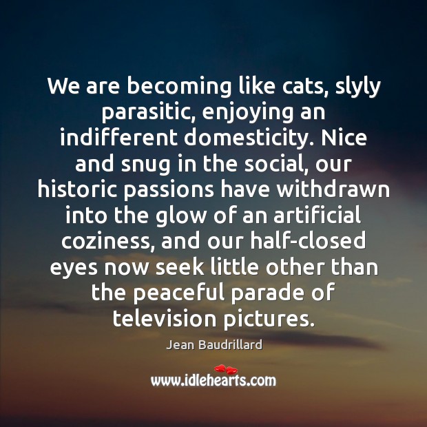 We are becoming like cats, slyly parasitic, enjoying an indifferent domesticity. Nice Image