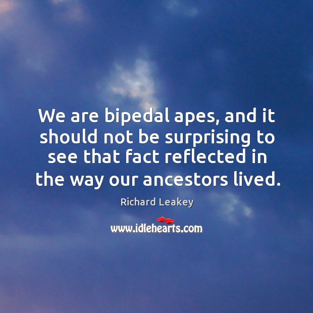 We are bipedal apes, and it should not be surprising to see Richard Leakey Picture Quote
